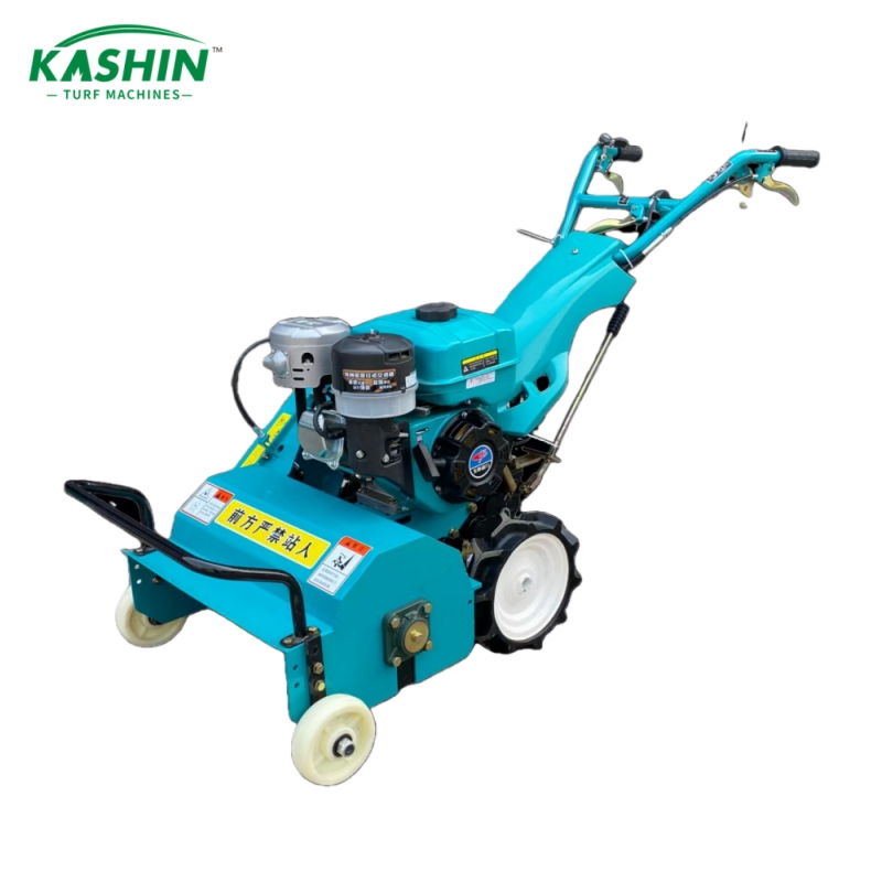 Gasoline hand lawn mower